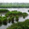 Flusslandschaft an der Peene