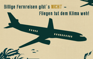 Sharepic zur Sensibilisierung zu Flugreisen
