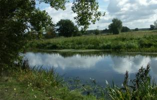 Natura Trail FFH-Gebiet Nuthe, Potsdam